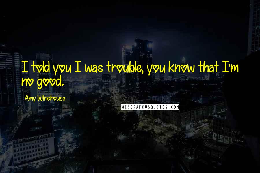 Amy Winehouse Quotes: I told you I was trouble, you know that I'm no good.
