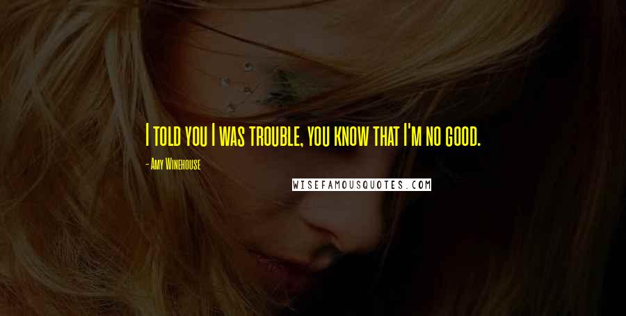 Amy Winehouse Quotes: I told you I was trouble, you know that I'm no good.