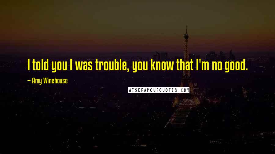 Amy Winehouse Quotes: I told you I was trouble, you know that I'm no good.
