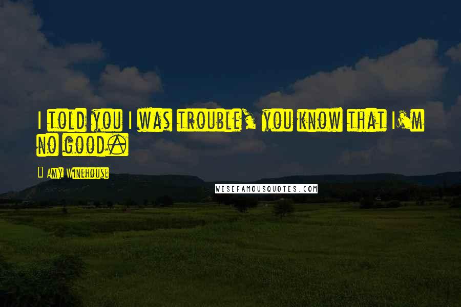 Amy Winehouse Quotes: I told you I was trouble, you know that I'm no good.