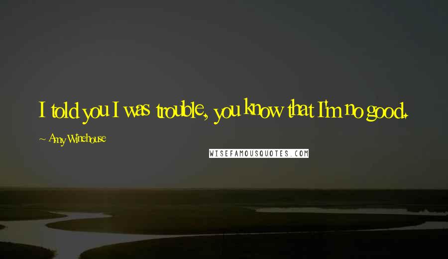Amy Winehouse Quotes: I told you I was trouble, you know that I'm no good.
