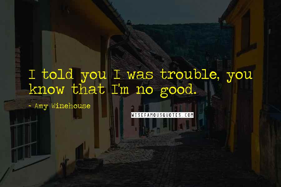 Amy Winehouse Quotes: I told you I was trouble, you know that I'm no good.