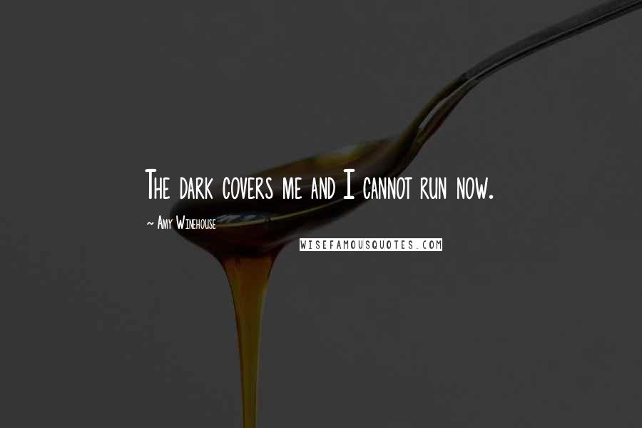 Amy Winehouse Quotes: The dark covers me and I cannot run now.