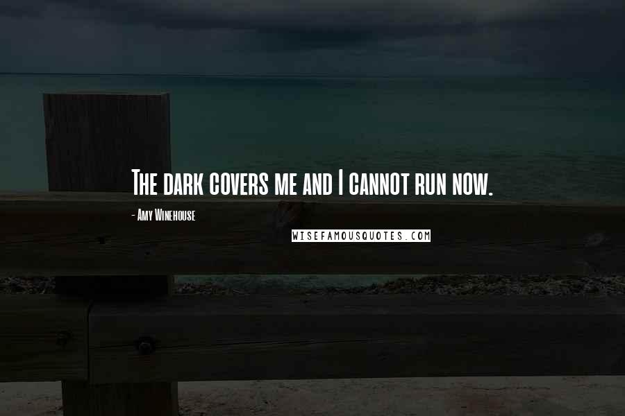 Amy Winehouse Quotes: The dark covers me and I cannot run now.