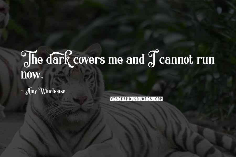Amy Winehouse Quotes: The dark covers me and I cannot run now.