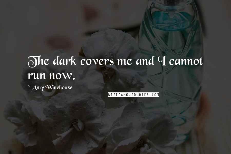 Amy Winehouse Quotes: The dark covers me and I cannot run now.