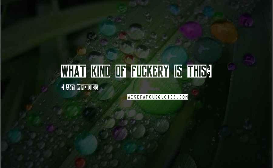 Amy Winehouse Quotes: What kind of fuckery is this?