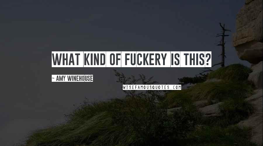Amy Winehouse Quotes: What kind of fuckery is this?