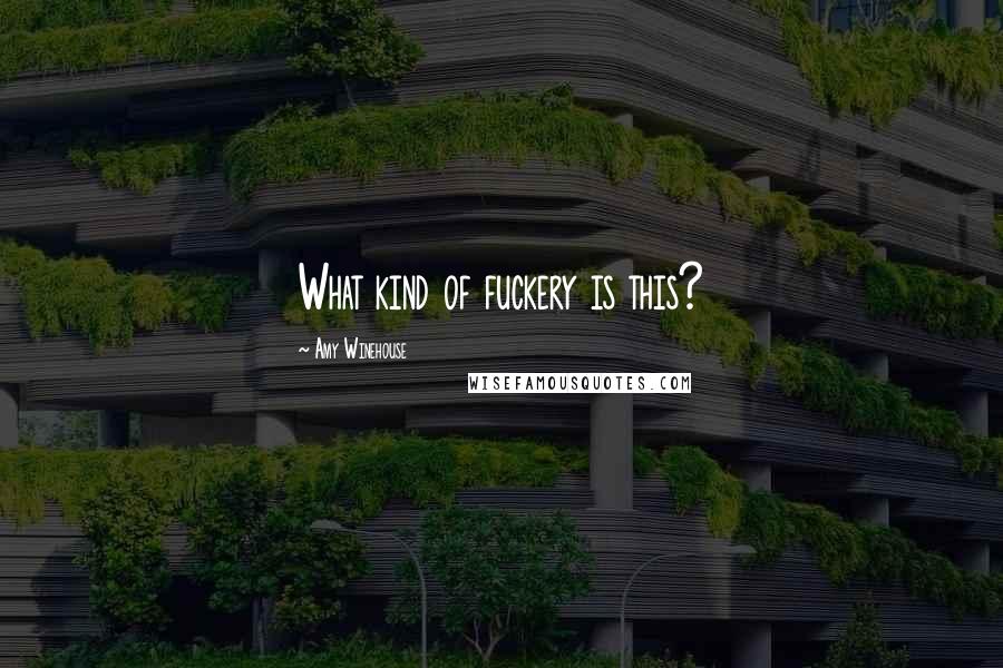Amy Winehouse Quotes: What kind of fuckery is this?