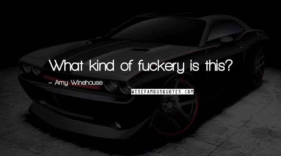 Amy Winehouse Quotes: What kind of fuckery is this?