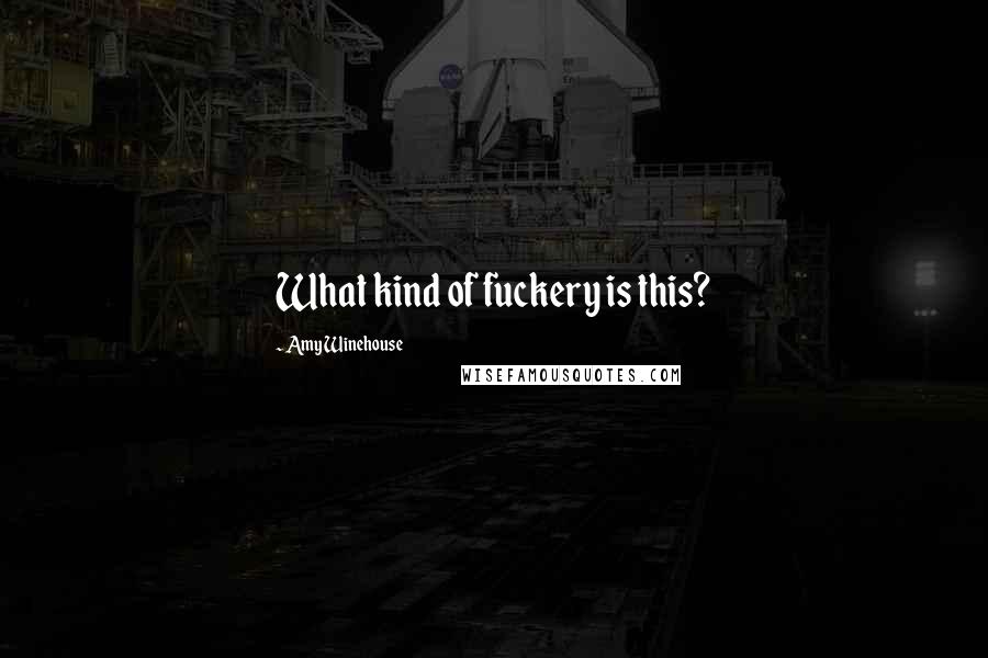 Amy Winehouse Quotes: What kind of fuckery is this?