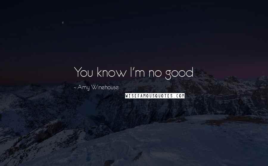 Amy Winehouse Quotes: You know I'm no good