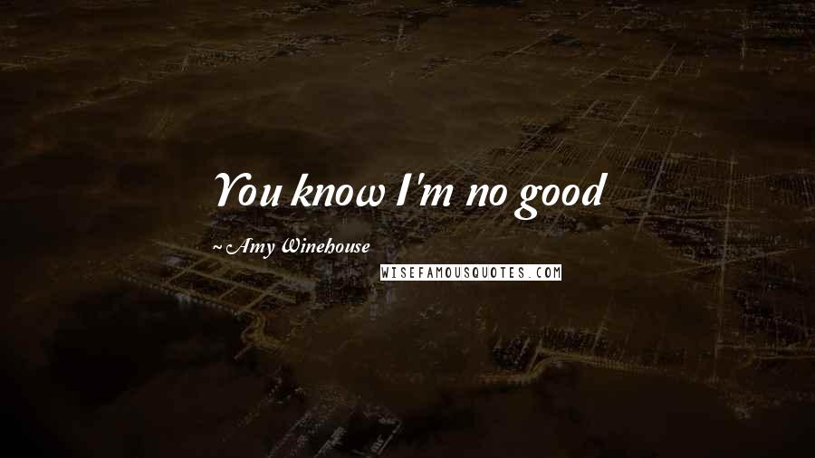 Amy Winehouse Quotes: You know I'm no good