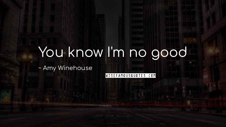 Amy Winehouse Quotes: You know I'm no good