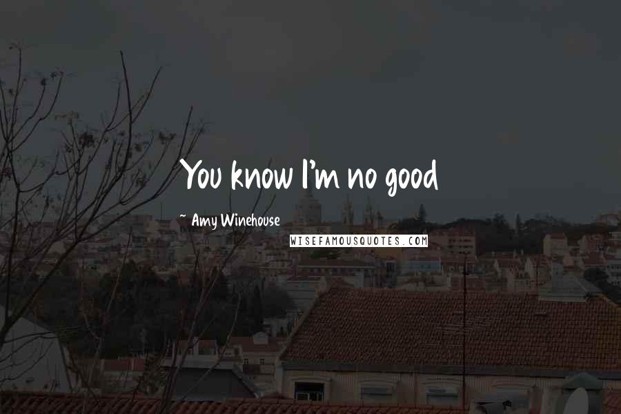 Amy Winehouse Quotes: You know I'm no good