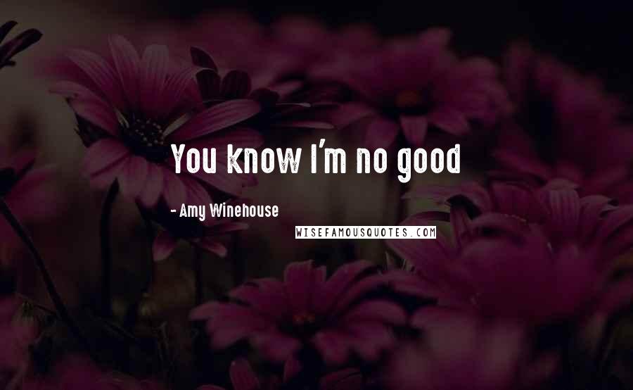 Amy Winehouse Quotes: You know I'm no good