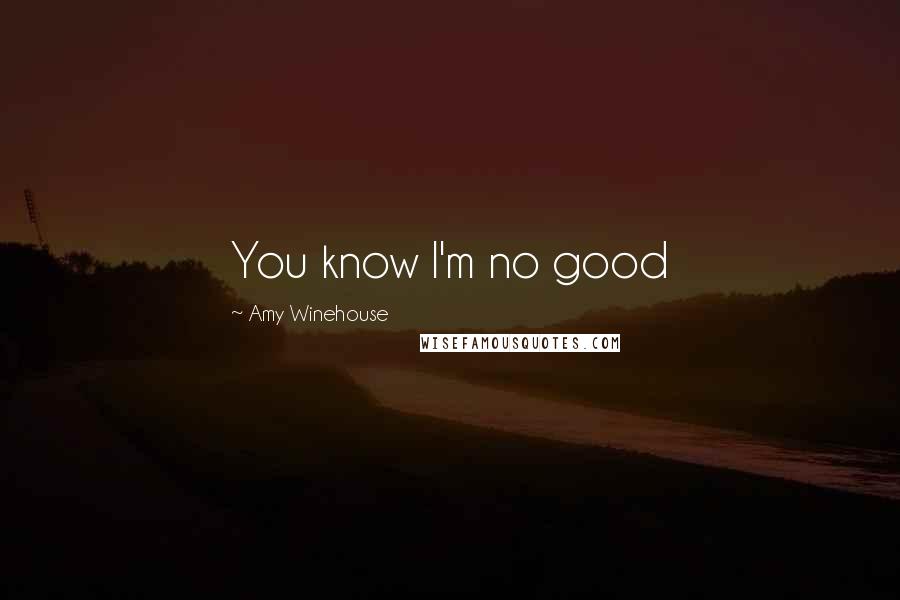 Amy Winehouse Quotes: You know I'm no good