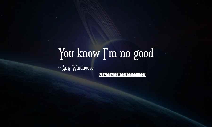 Amy Winehouse Quotes: You know I'm no good