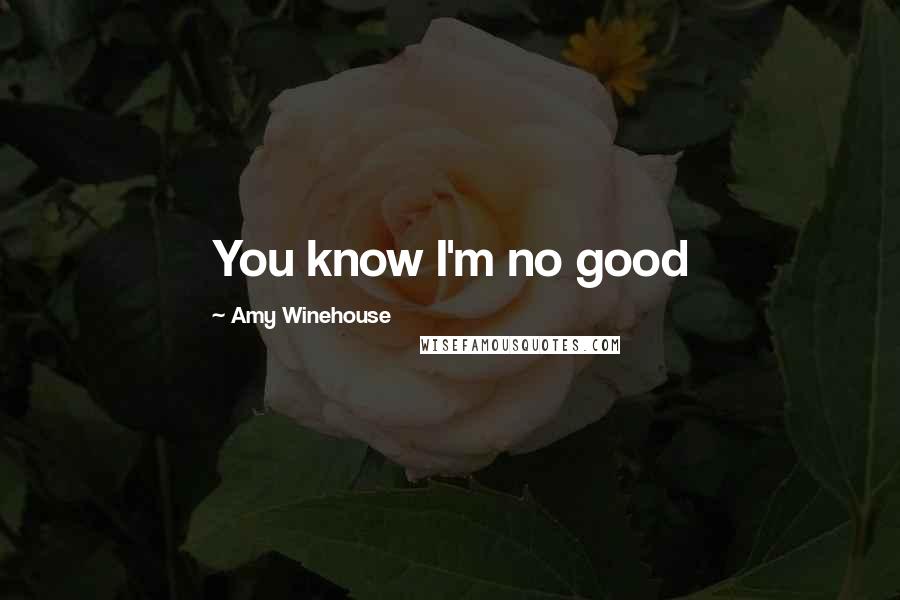 Amy Winehouse Quotes: You know I'm no good