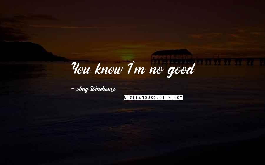 Amy Winehouse Quotes: You know I'm no good