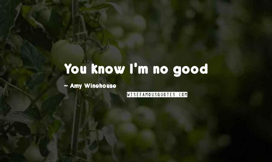 Amy Winehouse Quotes: You know I'm no good