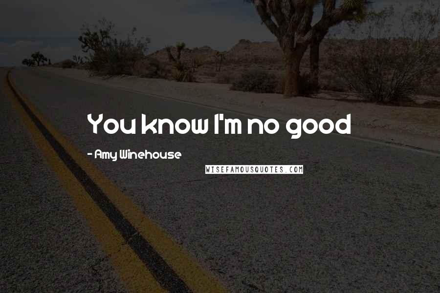 Amy Winehouse Quotes: You know I'm no good
