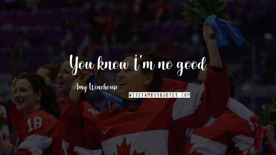 Amy Winehouse Quotes: You know I'm no good