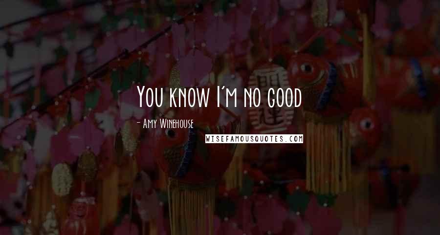 Amy Winehouse Quotes: You know I'm no good