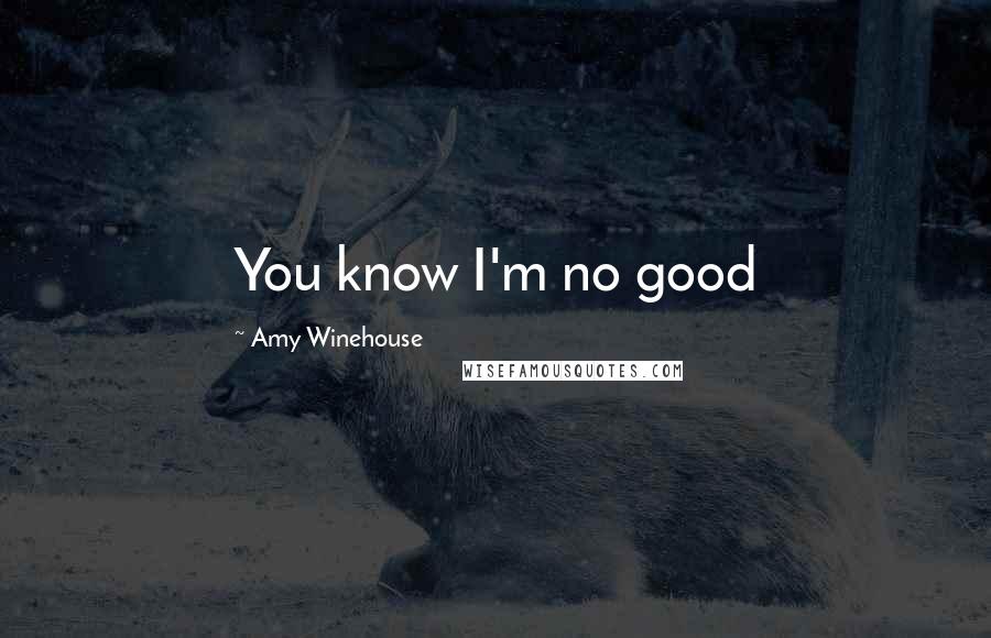 Amy Winehouse Quotes: You know I'm no good