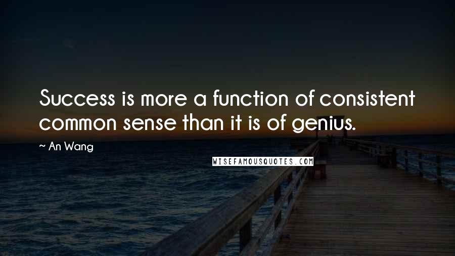 An Wang Quotes: Success is more a function of consistent common sense than it is of genius.