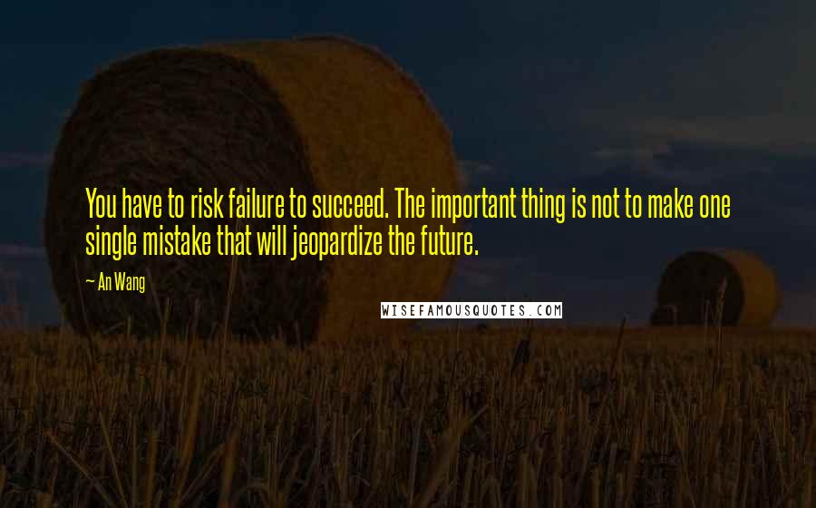An Wang Quotes: You have to risk failure to succeed. The important thing is not to make one single mistake that will jeopardize the future.