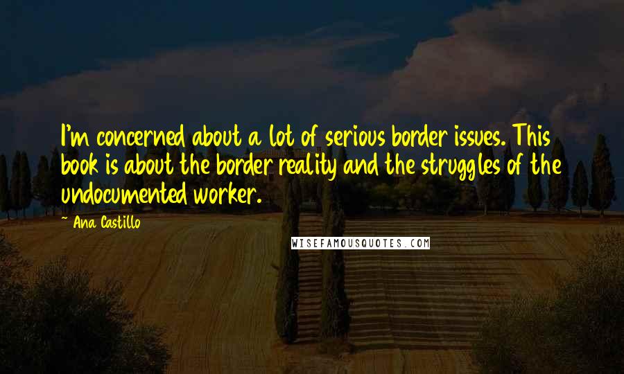 Ana Castillo Quotes: I'm concerned about a lot of serious border issues. This book is about the border reality and the struggles of the undocumented worker.