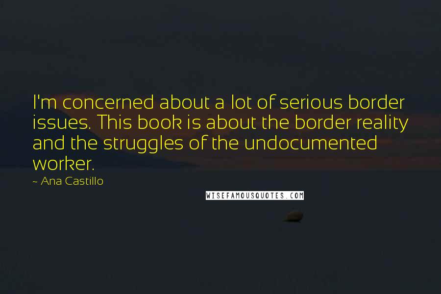 Ana Castillo Quotes: I'm concerned about a lot of serious border issues. This book is about the border reality and the struggles of the undocumented worker.