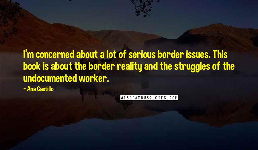 Ana Castillo Quotes: I'm concerned about a lot of serious border issues. This book is about the border reality and the struggles of the undocumented worker.