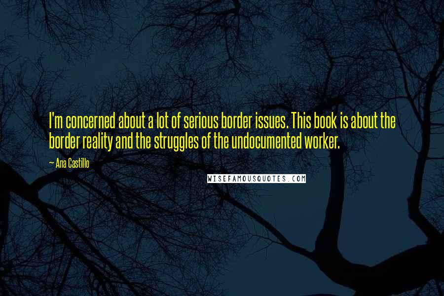Ana Castillo Quotes: I'm concerned about a lot of serious border issues. This book is about the border reality and the struggles of the undocumented worker.