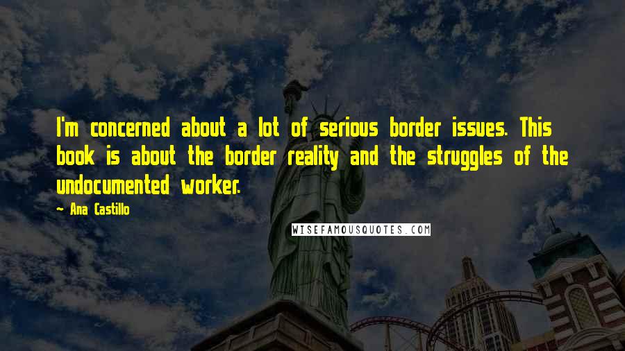 Ana Castillo Quotes: I'm concerned about a lot of serious border issues. This book is about the border reality and the struggles of the undocumented worker.