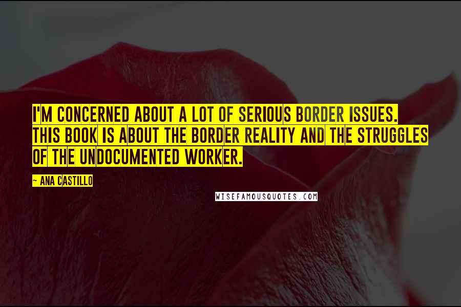 Ana Castillo Quotes: I'm concerned about a lot of serious border issues. This book is about the border reality and the struggles of the undocumented worker.