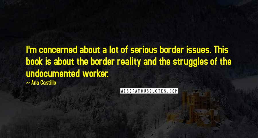Ana Castillo Quotes: I'm concerned about a lot of serious border issues. This book is about the border reality and the struggles of the undocumented worker.
