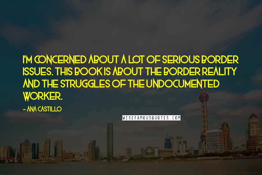 Ana Castillo Quotes: I'm concerned about a lot of serious border issues. This book is about the border reality and the struggles of the undocumented worker.