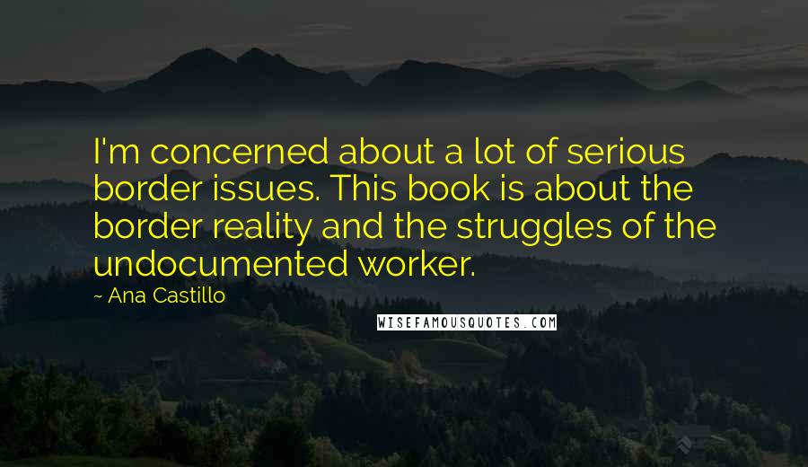 Ana Castillo Quotes: I'm concerned about a lot of serious border issues. This book is about the border reality and the struggles of the undocumented worker.