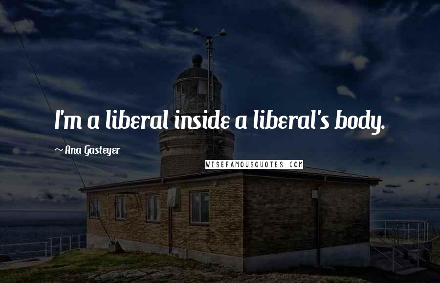 Ana Gasteyer Quotes: I'm a liberal inside a liberal's body.
