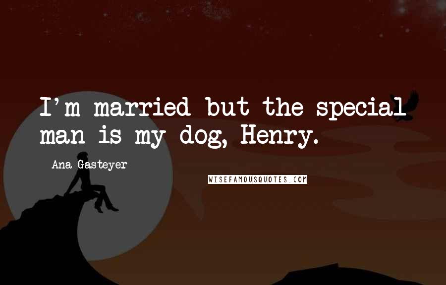 Ana Gasteyer Quotes: I'm married but the special man is my dog, Henry.