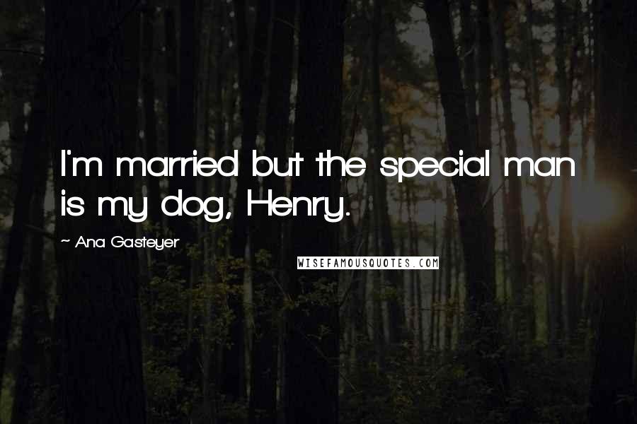 Ana Gasteyer Quotes: I'm married but the special man is my dog, Henry.