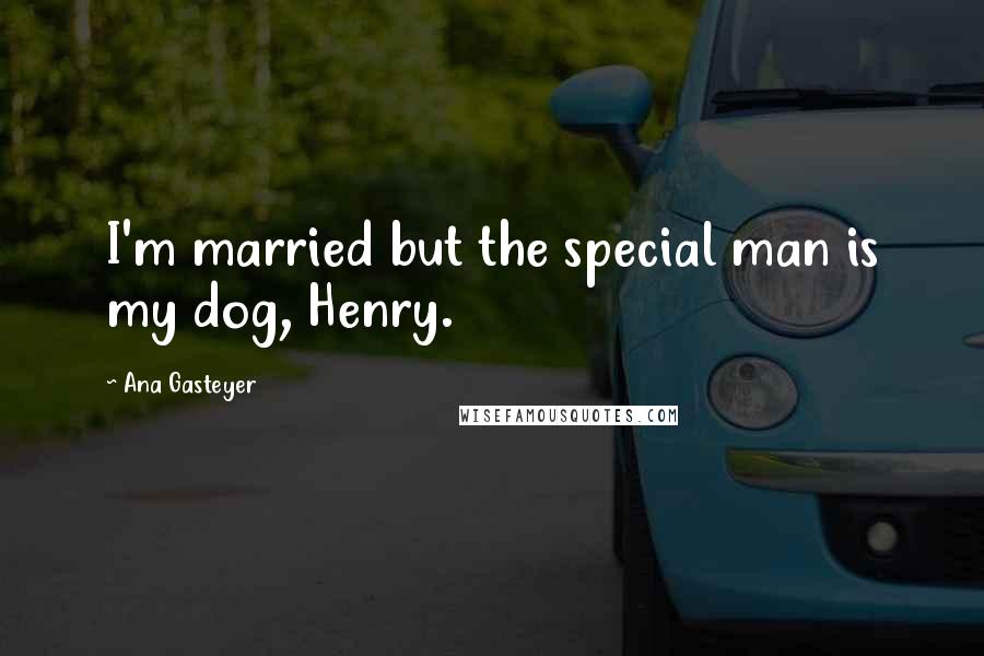 Ana Gasteyer Quotes: I'm married but the special man is my dog, Henry.