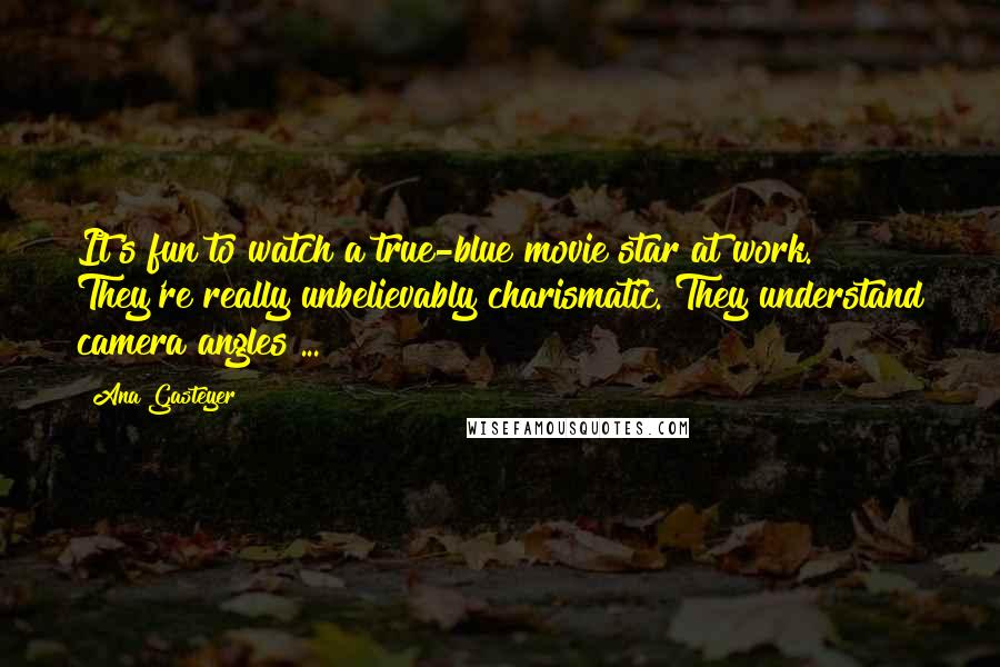 Ana Gasteyer Quotes: It's fun to watch a true-blue movie star at work. They're really unbelievably charismatic. They understand camera angles ...