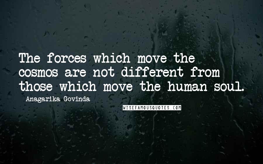 Anagarika Govinda Quotes: The forces which move the cosmos are not different from those which move the human soul.