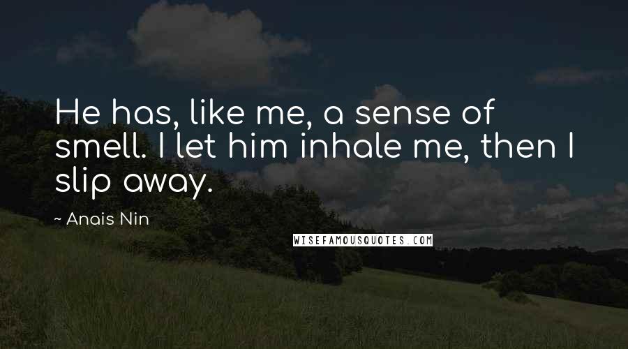 Anais Nin Quotes: He has, like me, a sense of smell. I let him inhale me, then I slip away.