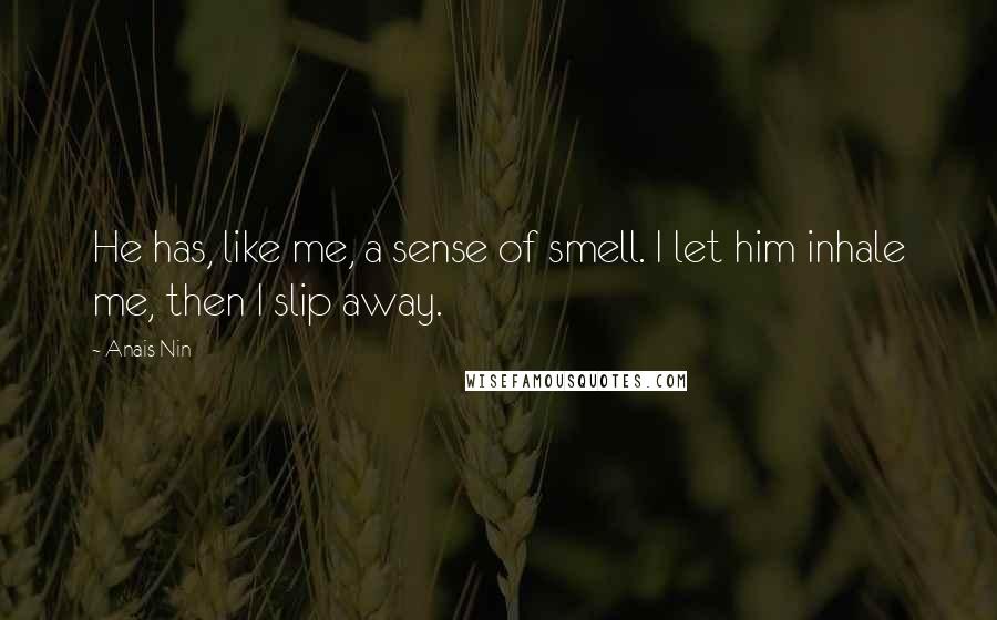 Anais Nin Quotes: He has, like me, a sense of smell. I let him inhale me, then I slip away.