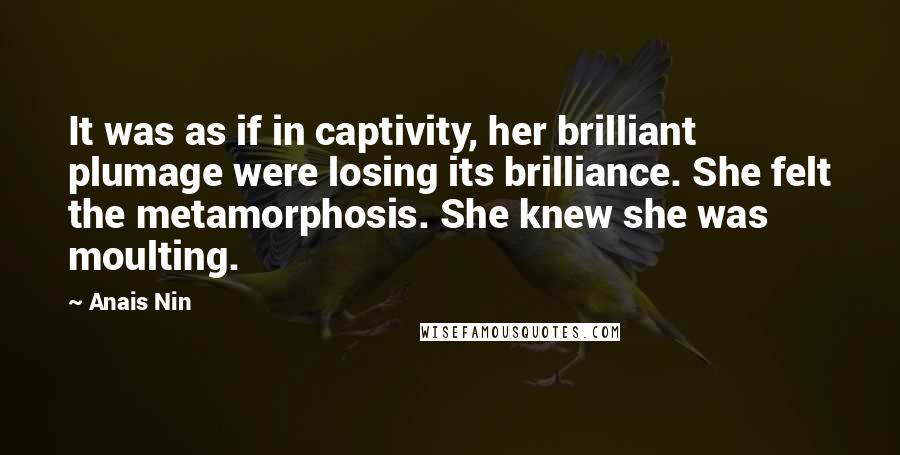 Anais Nin Quotes: It was as if in captivity, her brilliant plumage were losing its brilliance. She felt the metamorphosis. She knew she was moulting.