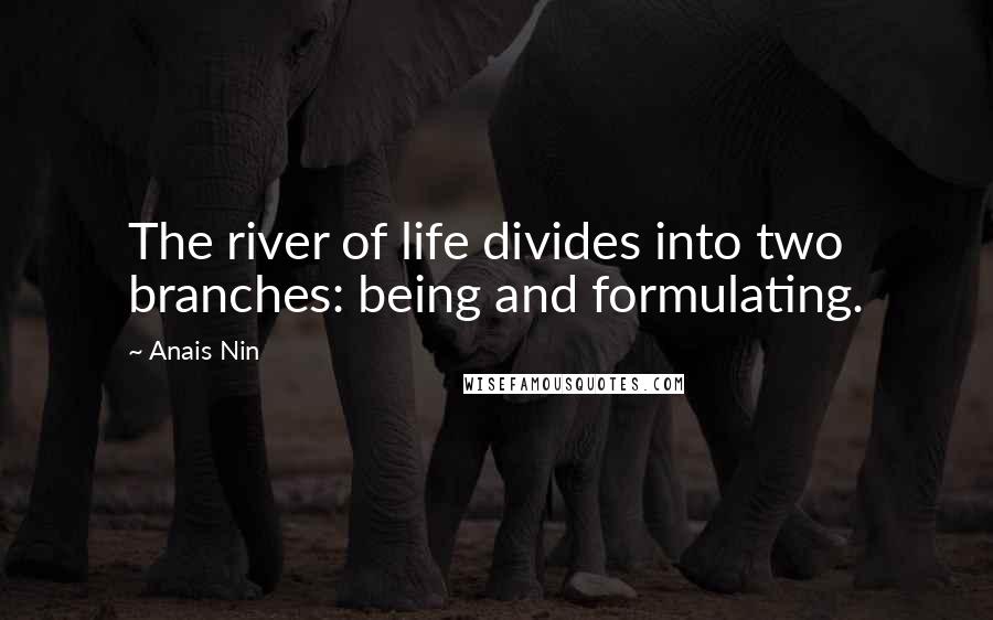 Anais Nin Quotes: The river of life divides into two branches: being and formulating.